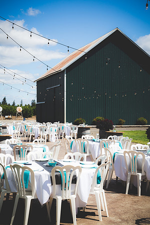 PoschWedding2017_10